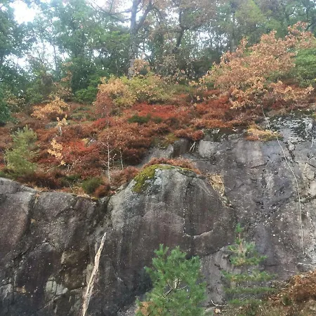 Royseland * Kvås