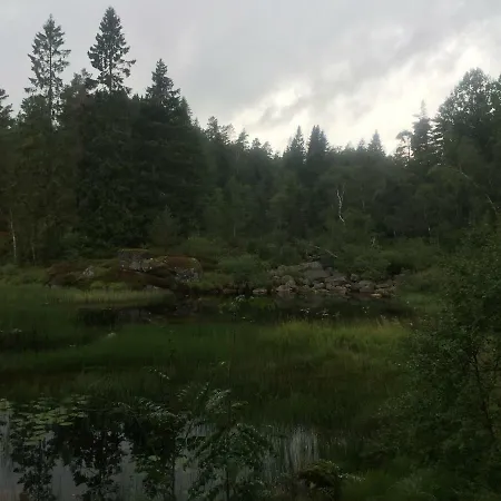 Royseland *