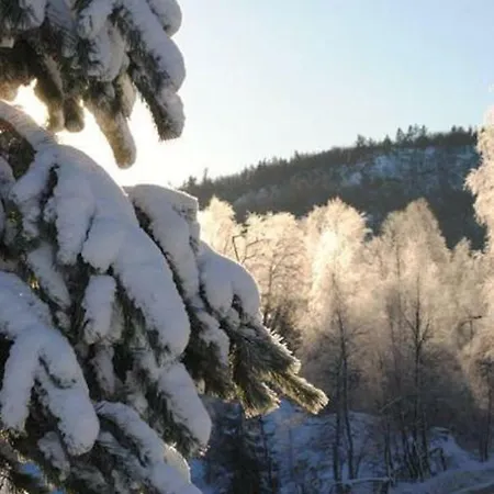 Royseland * Kvås